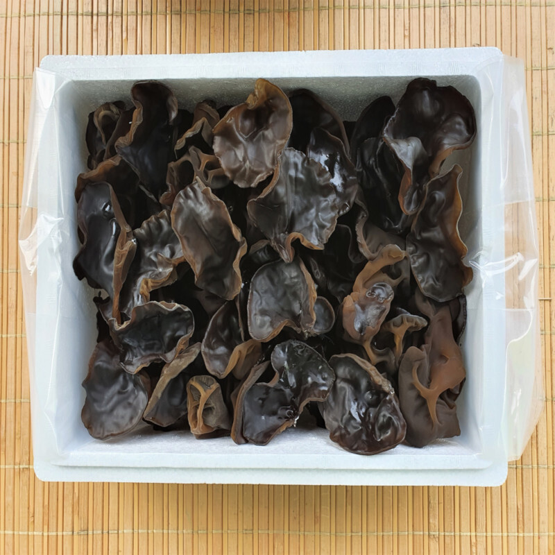 설악산목이버섯,[위크세일]설악산초록농장 생목이버섯(1kg)